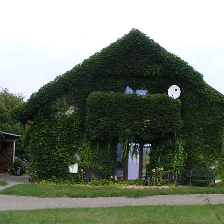 Dworek Lachowicze Grzegorzewice Exteriör bild