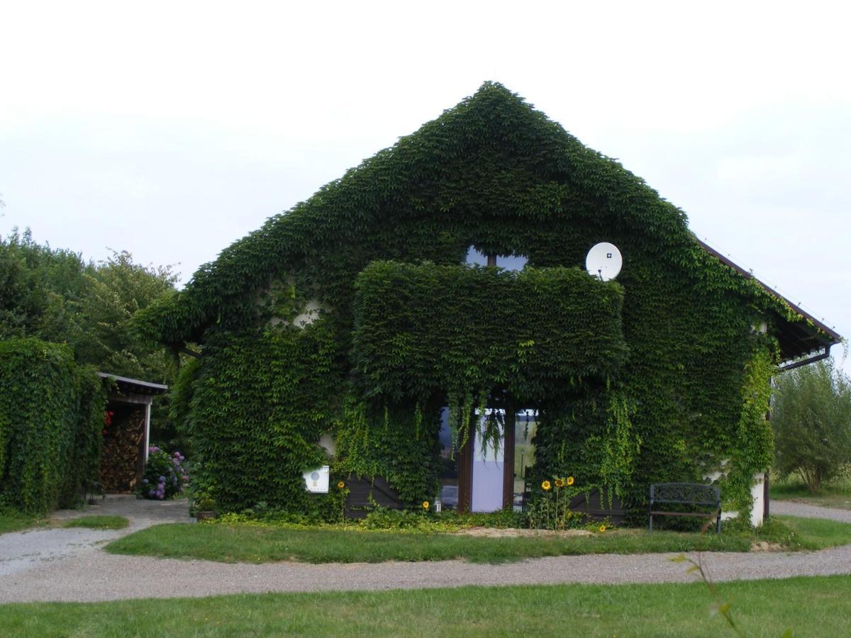Dworek Lachowicze Grzegorzewice Exteriör bild